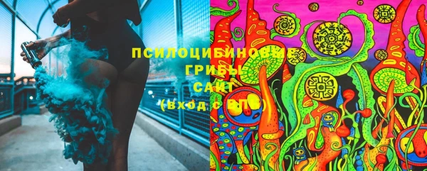не бодяженный Белокуриха